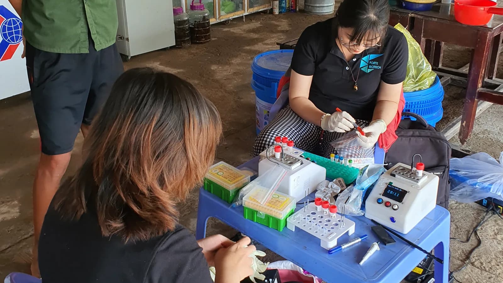 Photo: Farm staff running RAPID test